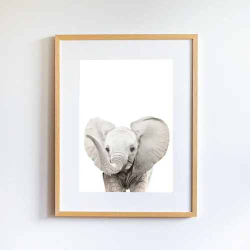 Little Forest Animals - Wilma The Elephant