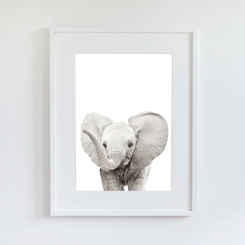 Little Forest Animals - Wilma The Elephant
