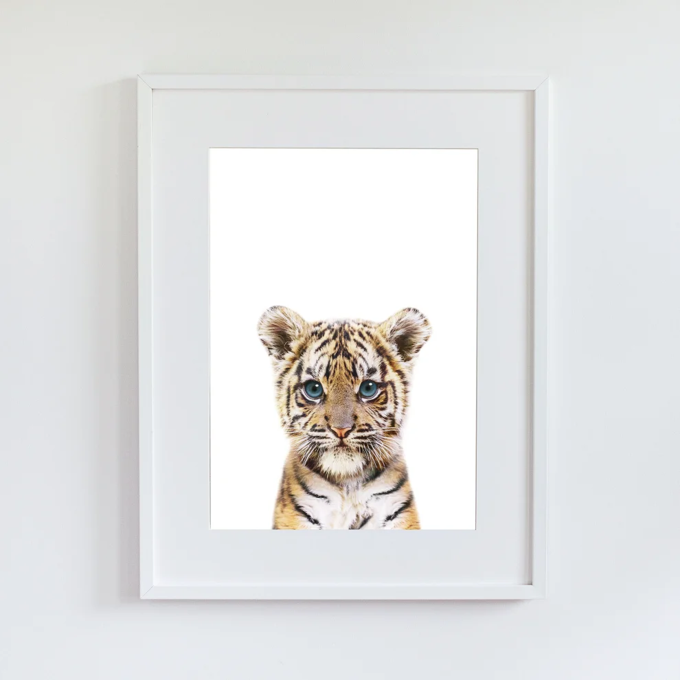 Little Forest Animals - Maicy The Tiger