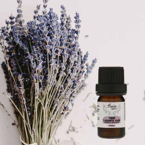 Gaia Organic - Lavender Essential Oil