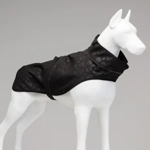 Softshell Black Skull Dog Raincoat