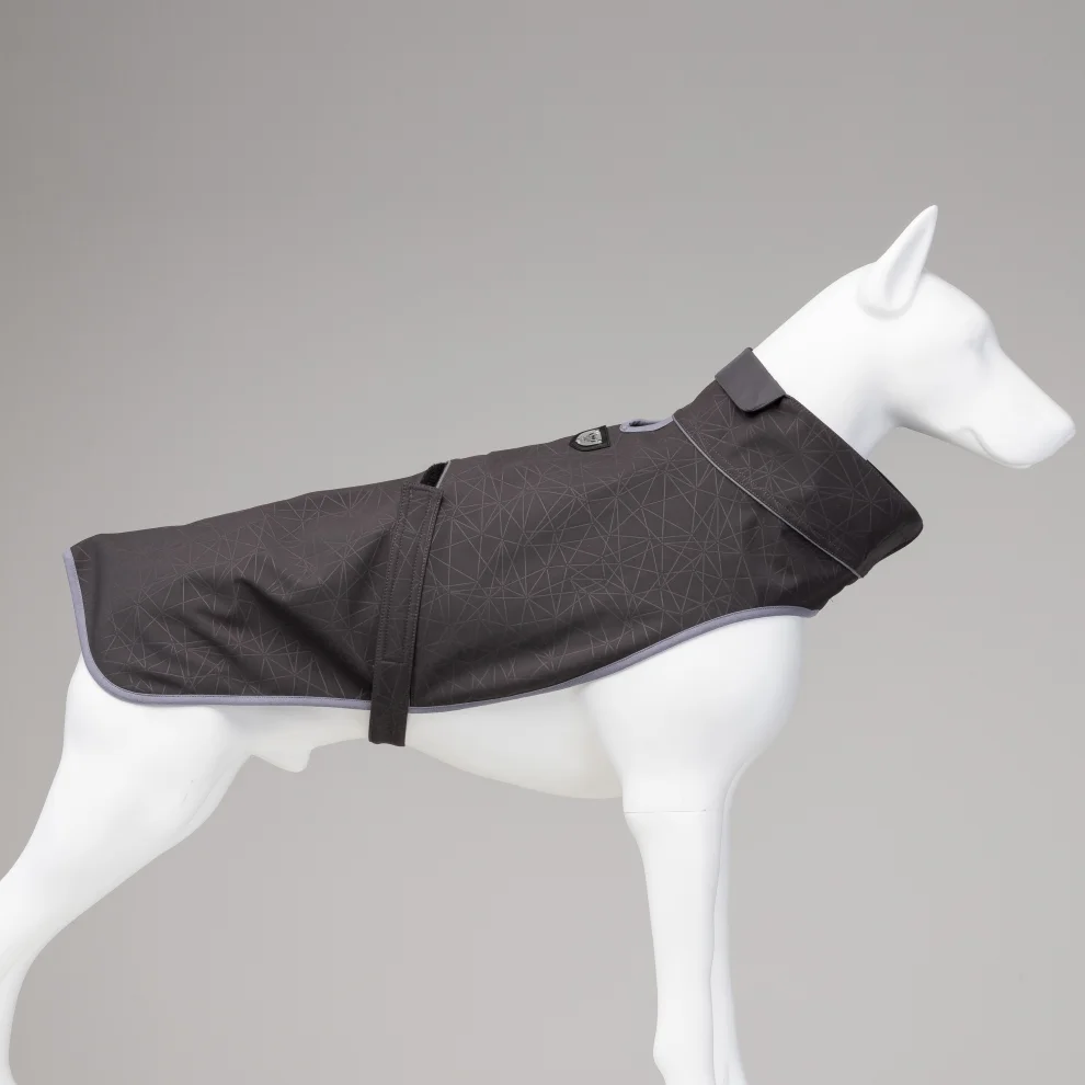 Magnetic dog coat hotsell