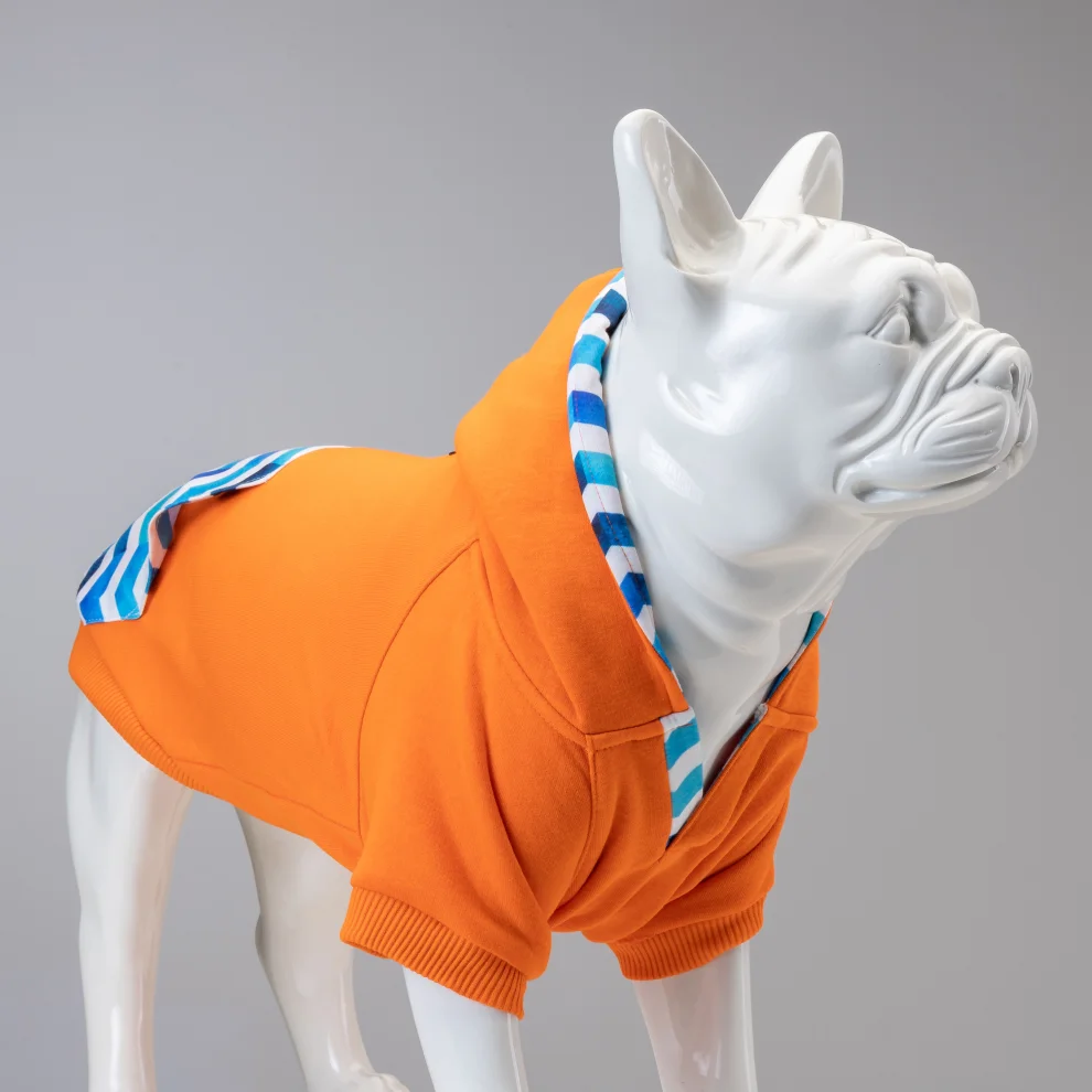 Lindodogs Sydney Dog Sweatshirt 4 hipicon