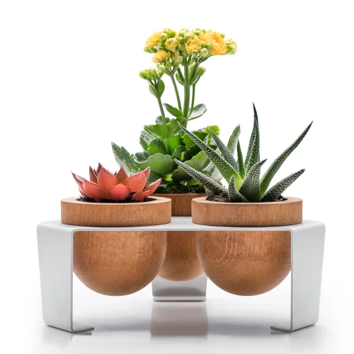 Halohope Design - Dew Planter Set Of 3 Oak Pots On A Metal Stand