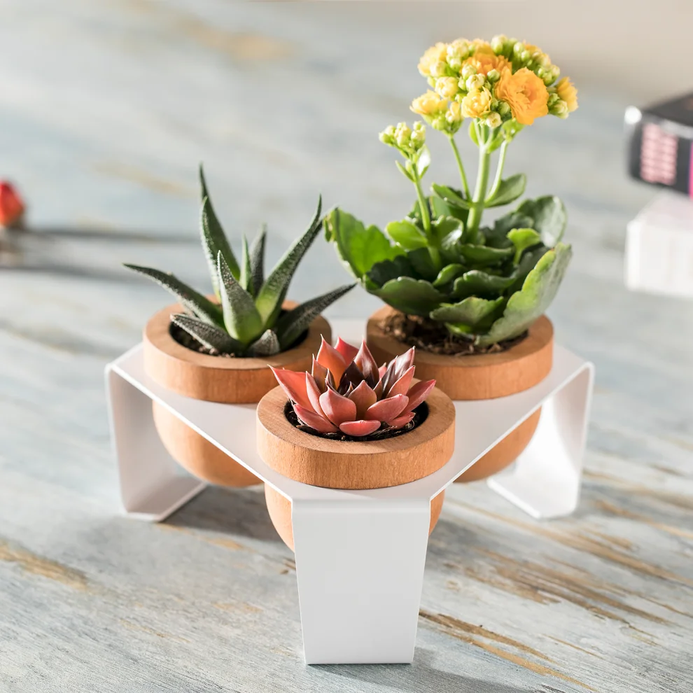 Halohope Design - Dew Planter Set Of 3 Oak Pots On A Metal Stand