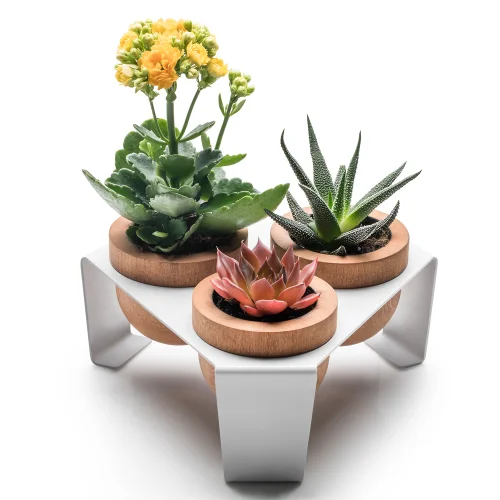 Halohope Design - Dew Planter Set Of 3 Oak Pots On A Metal Stand