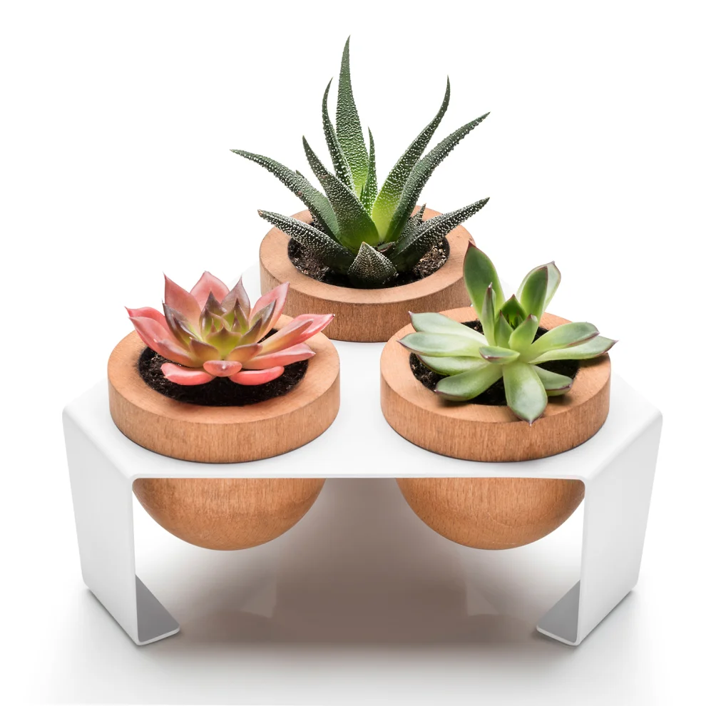 Halohope Design - Dew Planter Set Of 3 Oak Pots On A Metal Stand