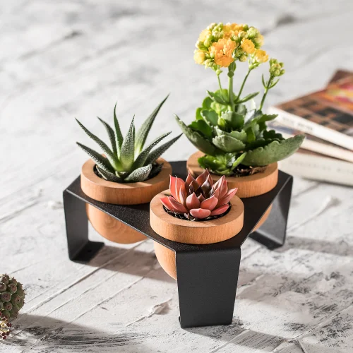 Halohope Design - Dew Planter Set Of 3 Oak Pots On A Metal Stand