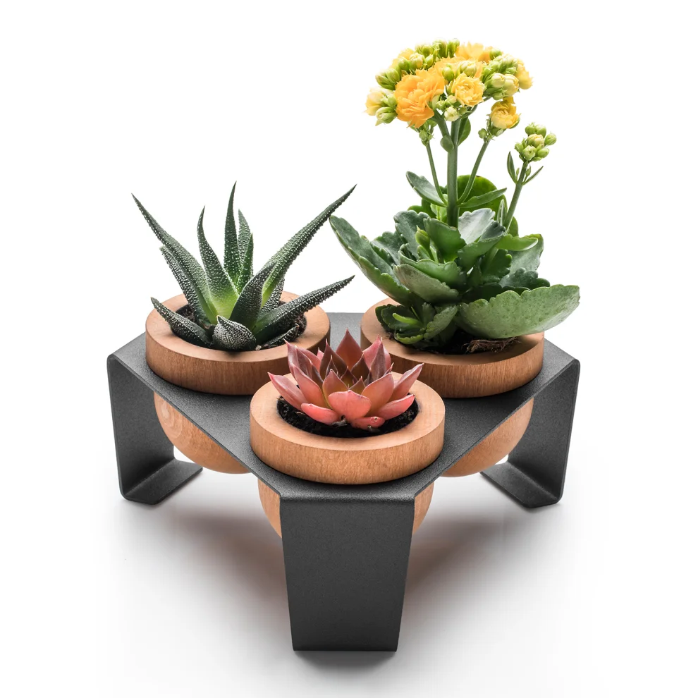 Halohope Design - Dew Planter Set Of 3 Oak Pots On A Metal Stand