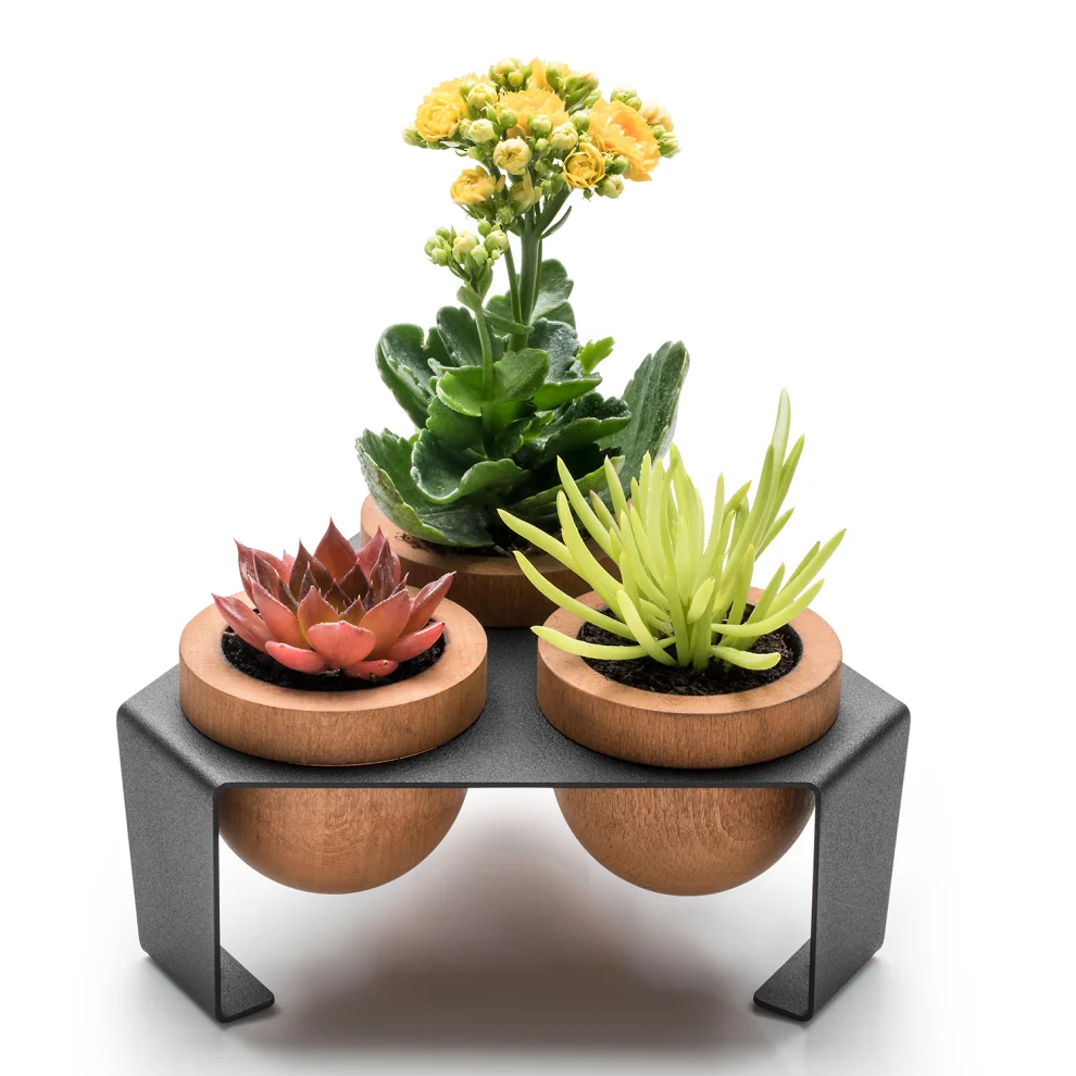 Halohope Design - Dew Planter Set Of 3 Oak Pots On A Metal Stand