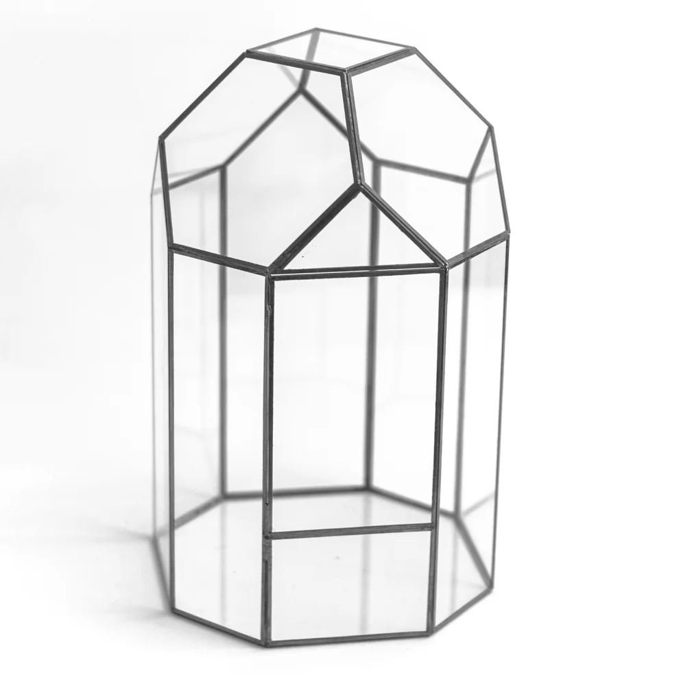 El Crea Designs - Mirach Covered Geometric Terrarium Glass Dome