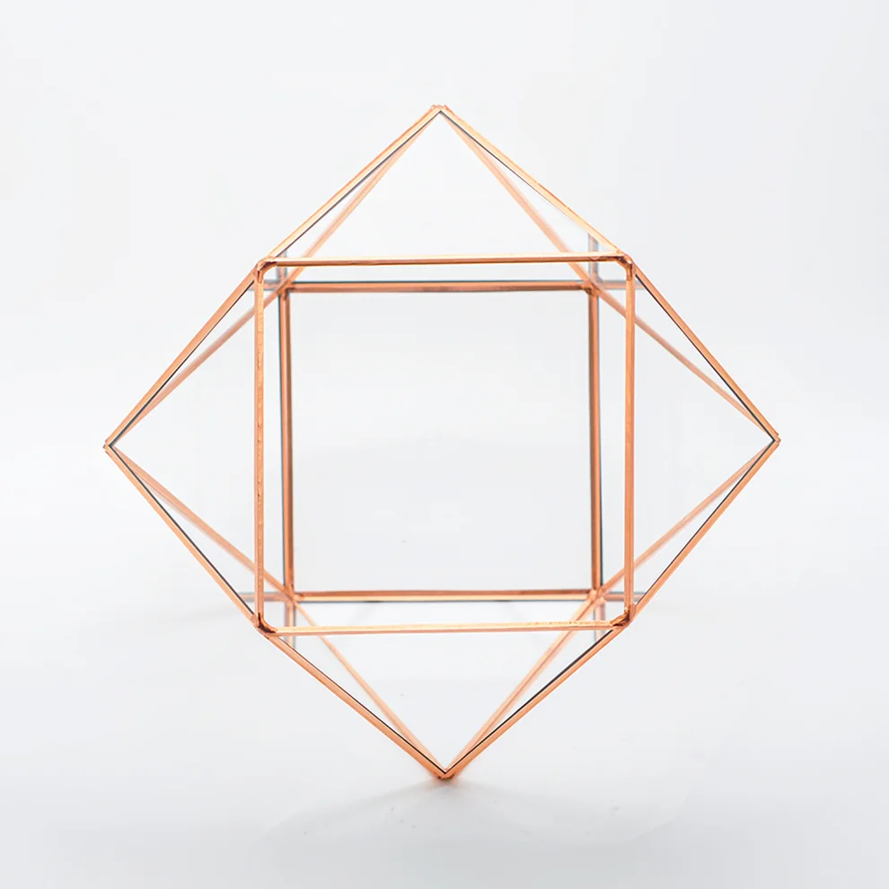 El Crea Designs - Polygon Geometric Terrarium Glass Dome