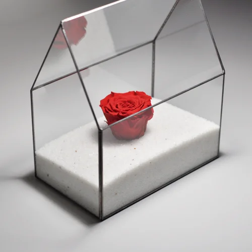 El Crea Designs - Homeless Geometric Terrarium Glass Dome Unfading Rose