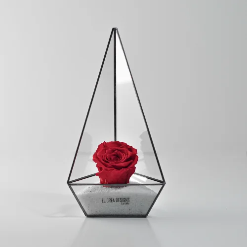 El Crea Designs - Acrux Geometric Terrarium Glass Dome Unfading Rose