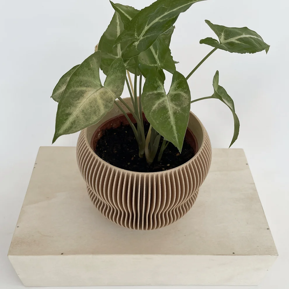 Cella Store - Ginkgo Bioplastic Flowerpot