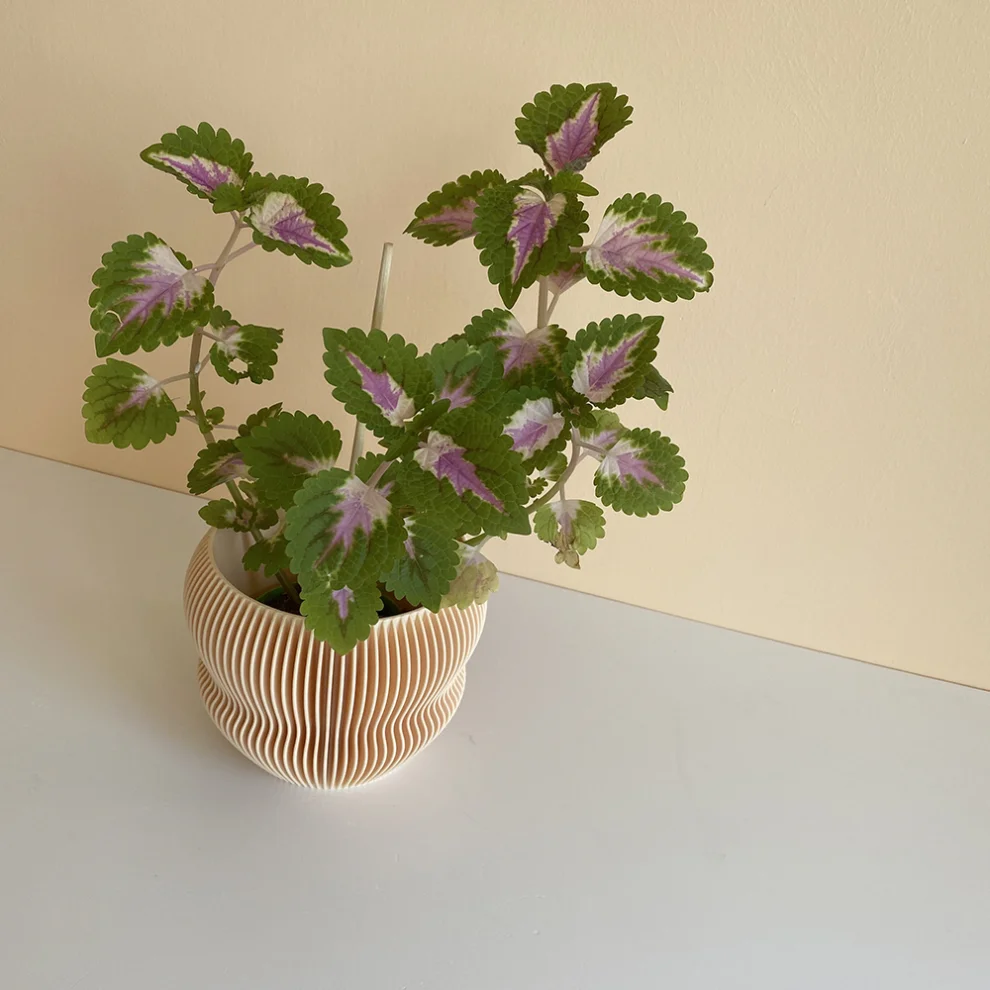 Cella Store - Ginkgo Bioplastic Flowerpot