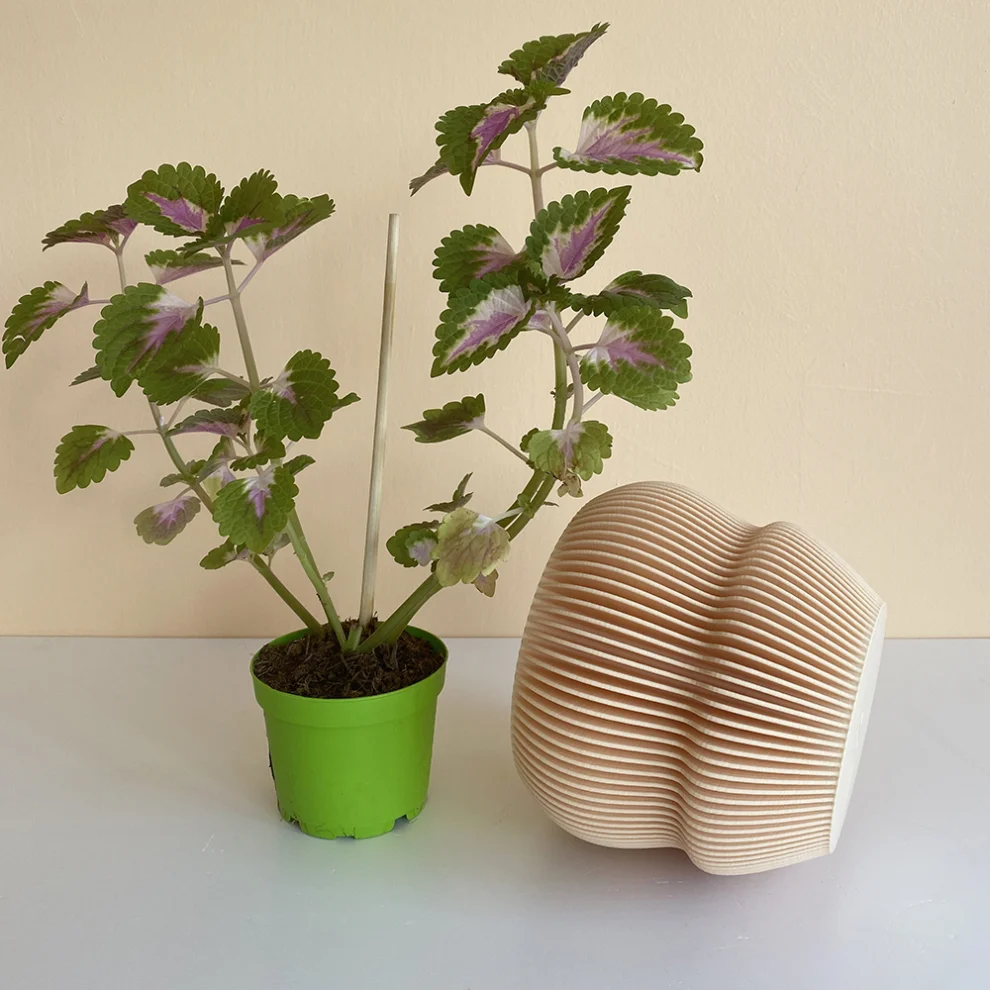 Cella Store - Ginkgo Bioplastic Flowerpot