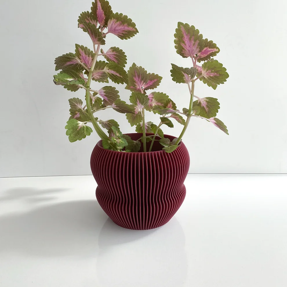 Cella Store - Ginkgo Bioplastic Flowerpot