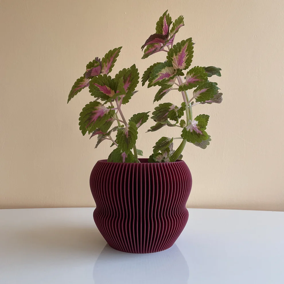 Cella Store - Ginkgo Bioplastic Flowerpot