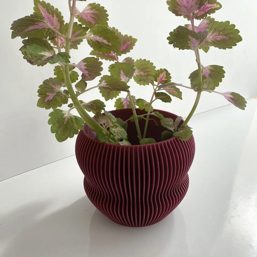 Cella Store - Ginkgo Bioplastic Flowerpot