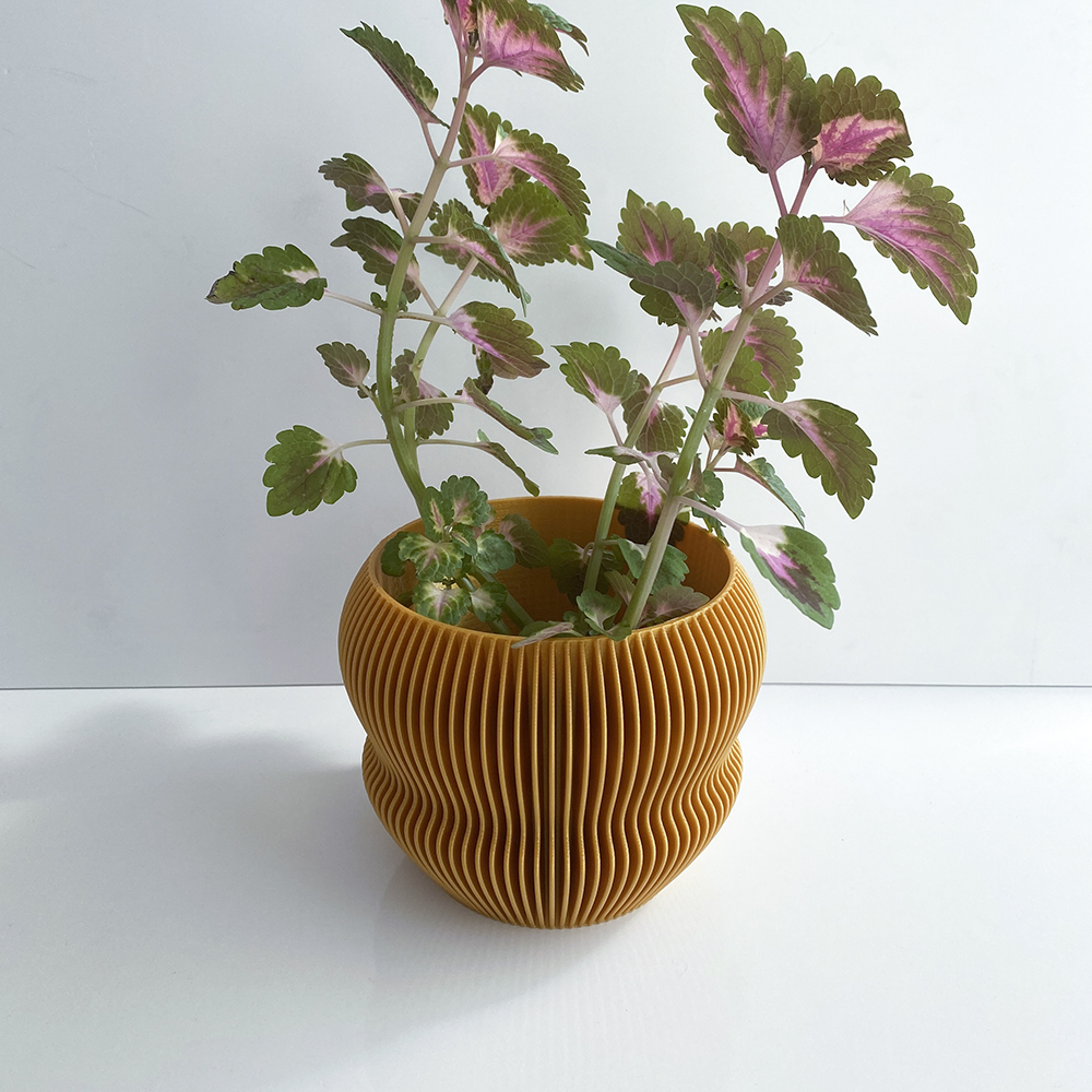 Ginkgo Bioplastic Flowerpot