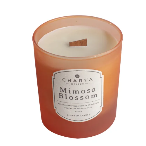 Charya Maison - Mimosa Blossom 230g Doğal Ve Vegan Mum