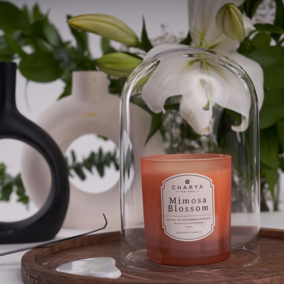 Charya Maison - Mimosa Blossom 230g Natural And Vegan Candle