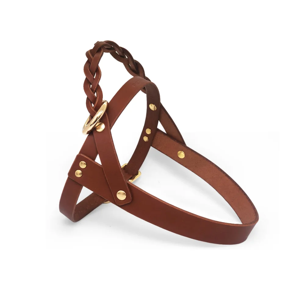 Petwoon - Modi Leather Harness