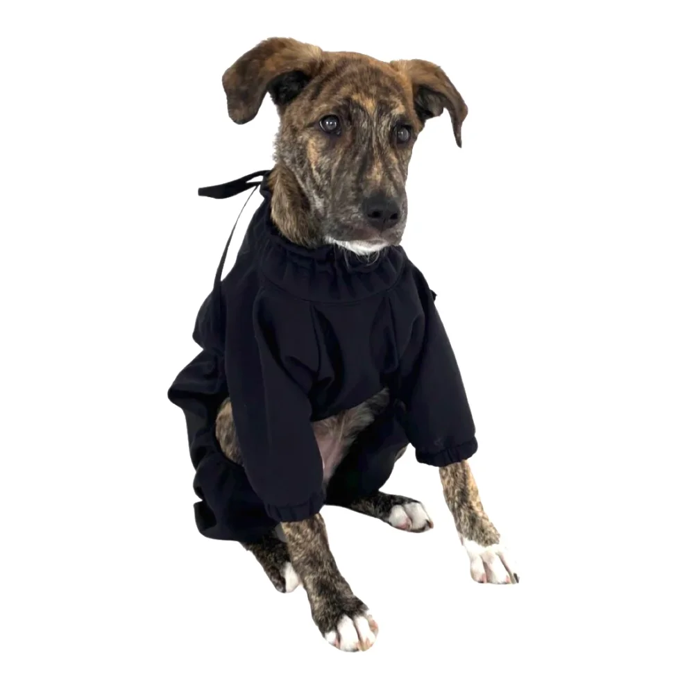 St. Pia - Astro Dog Winter Coat