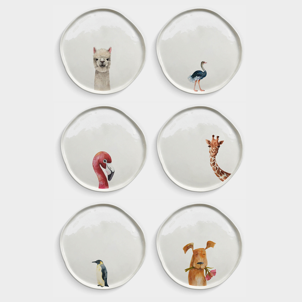 6 Pet Plates