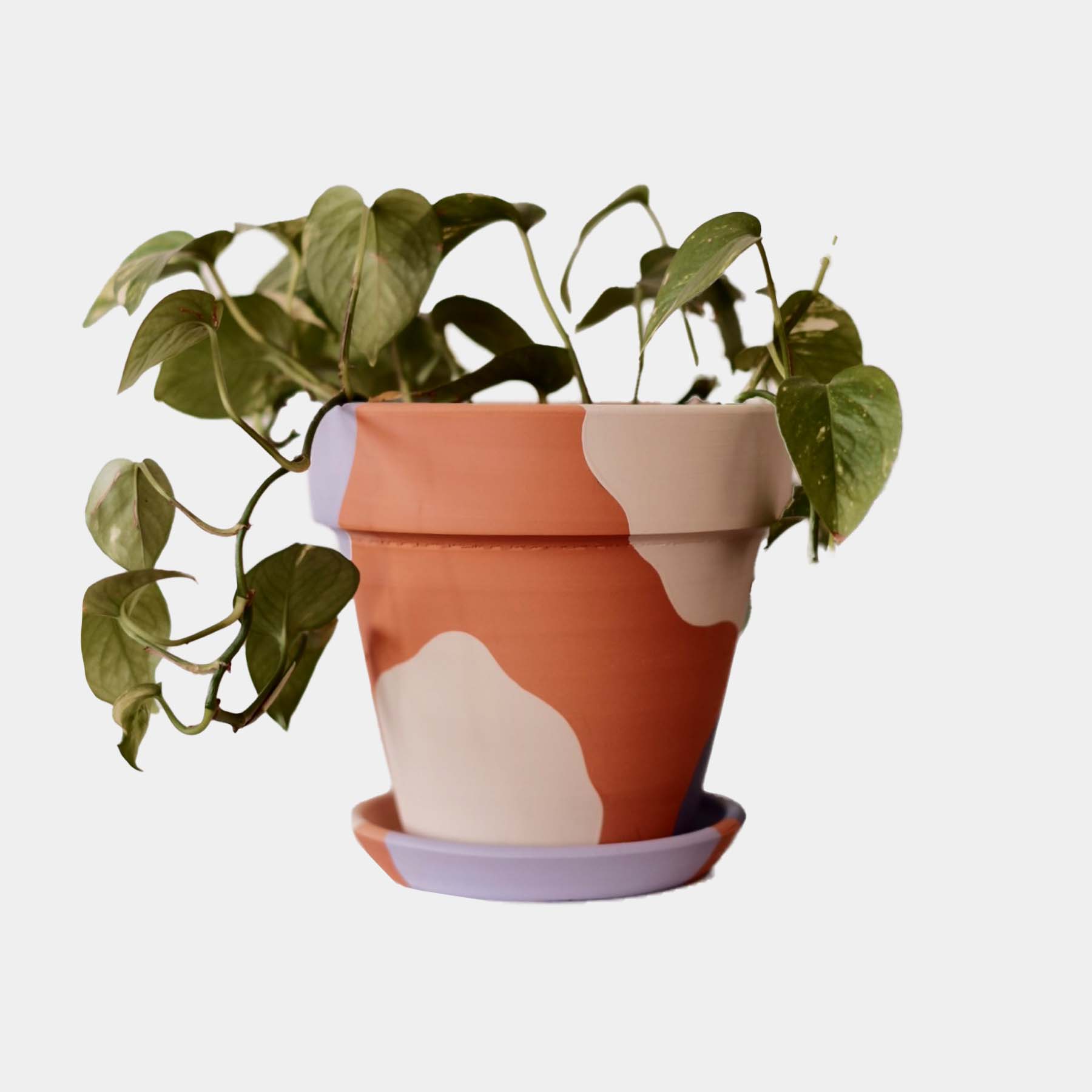 Terracotta Plant Pot