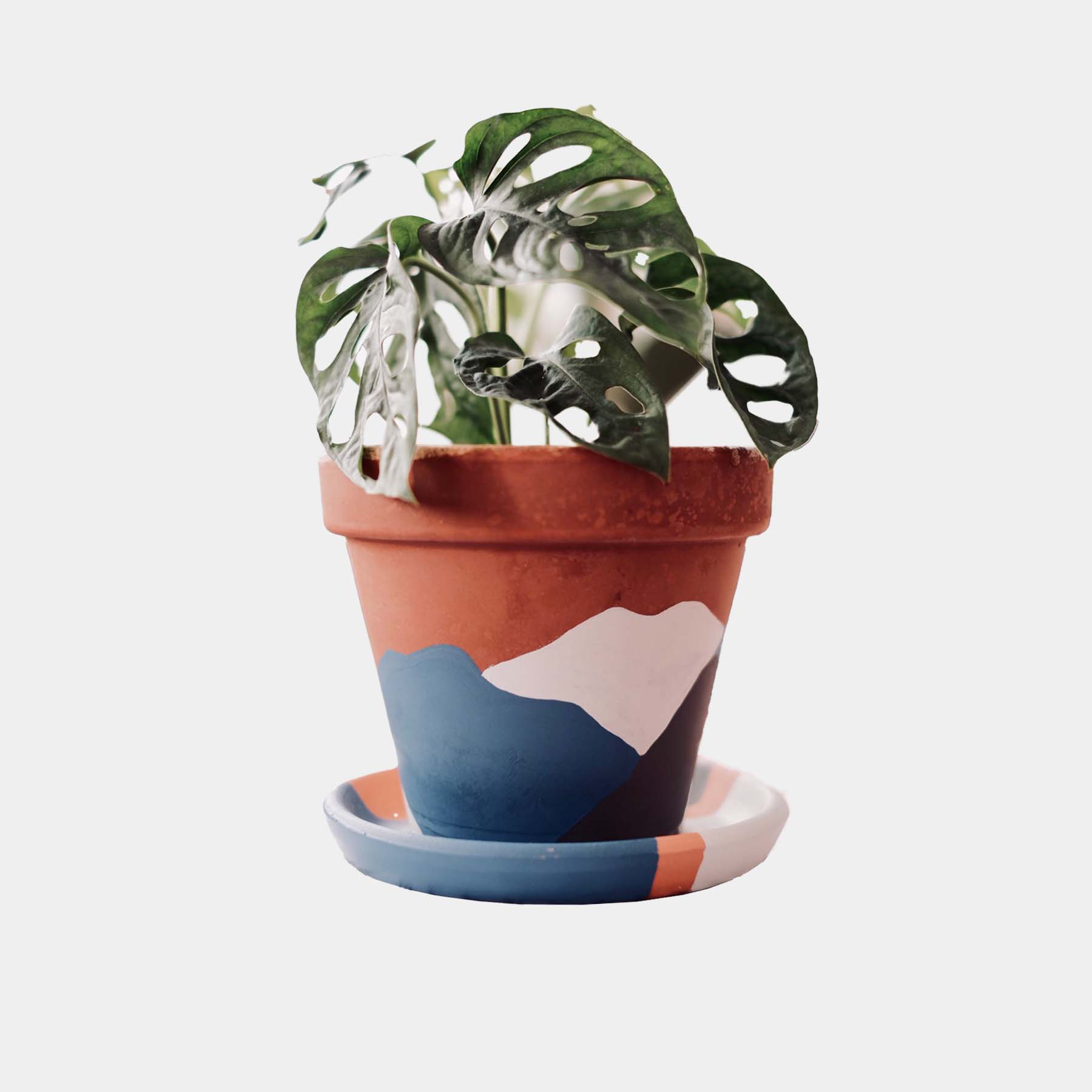 Terracotta Plant Pot