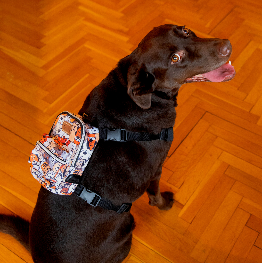 Dog Packback Harness