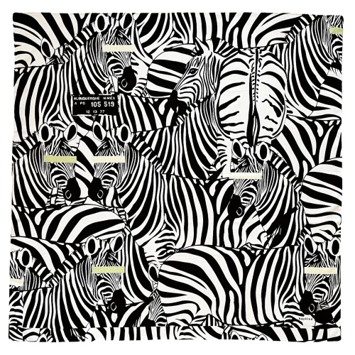 Baykind - Guilty Zebra 45 Scarf