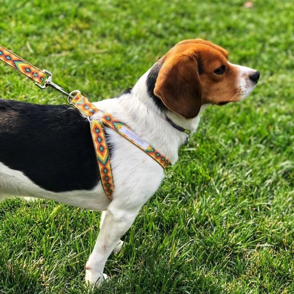 Tofico Pets - Tofella Dog Leash