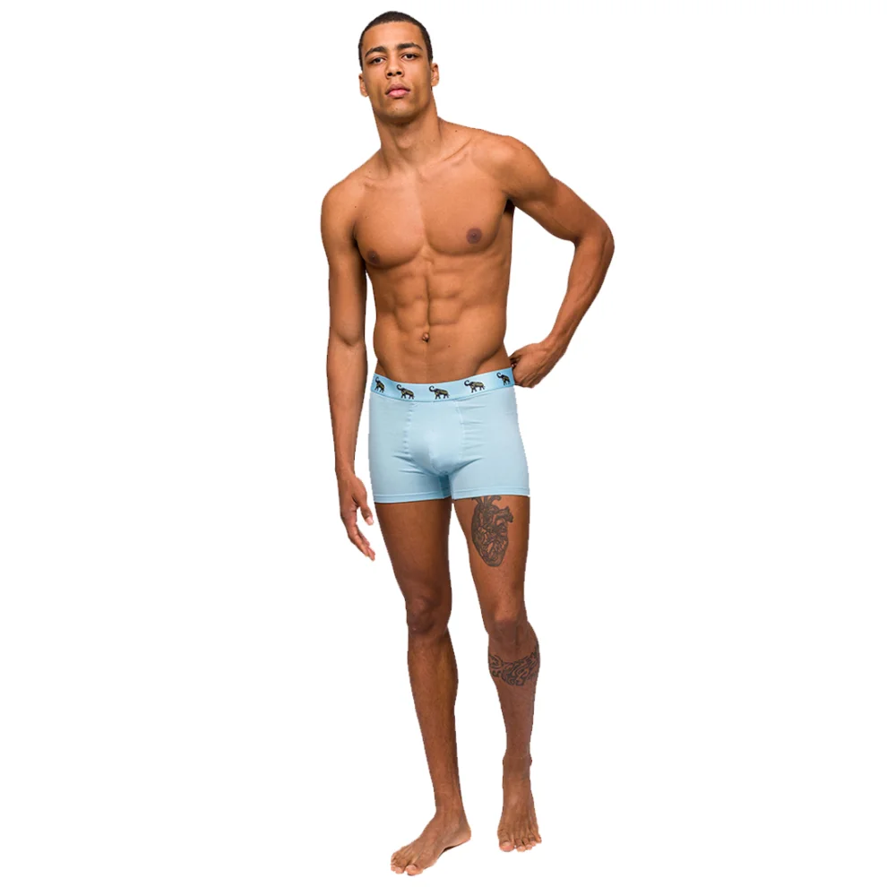 Paul Kenzie - Comfort Flex 3 Pack Male Boxer Animal