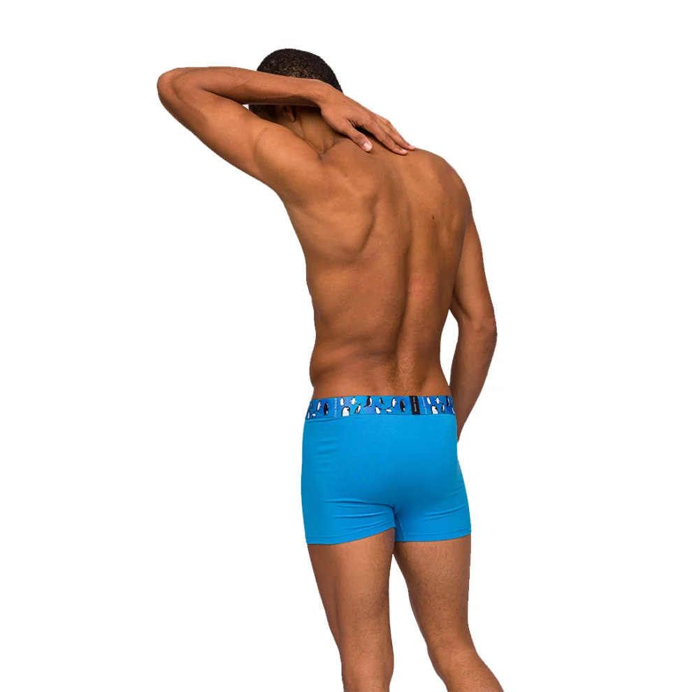 Paul Kenzie - Comfort Flex 3 Pack Male Boxer Animal