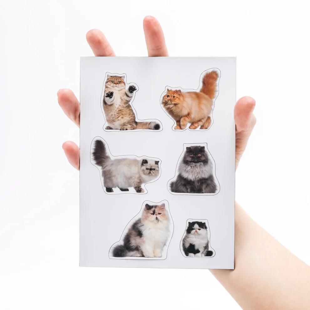 Mustard - Mustard Fun Action Cat Magnets