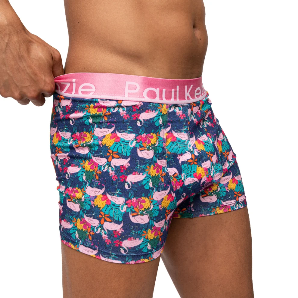 Paul Kenzie - Unique Effect Desenli Erkek Boxer - Flamingo