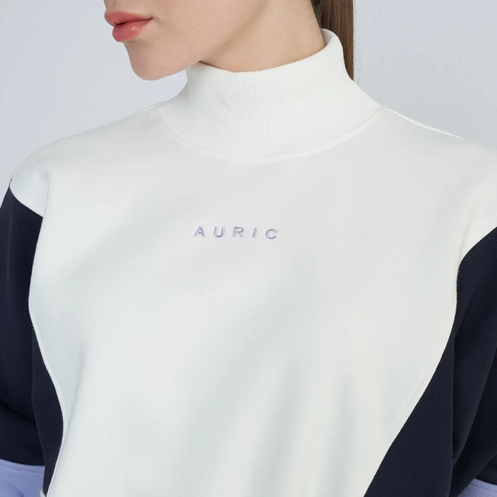 Auric - Renk Bloklu Sweatshirt