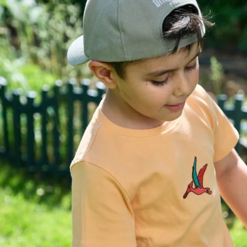 DinoFor - Pteranodon Tshirt