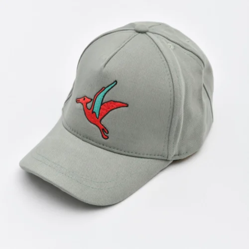 DinoFor - Pteranodon Cap