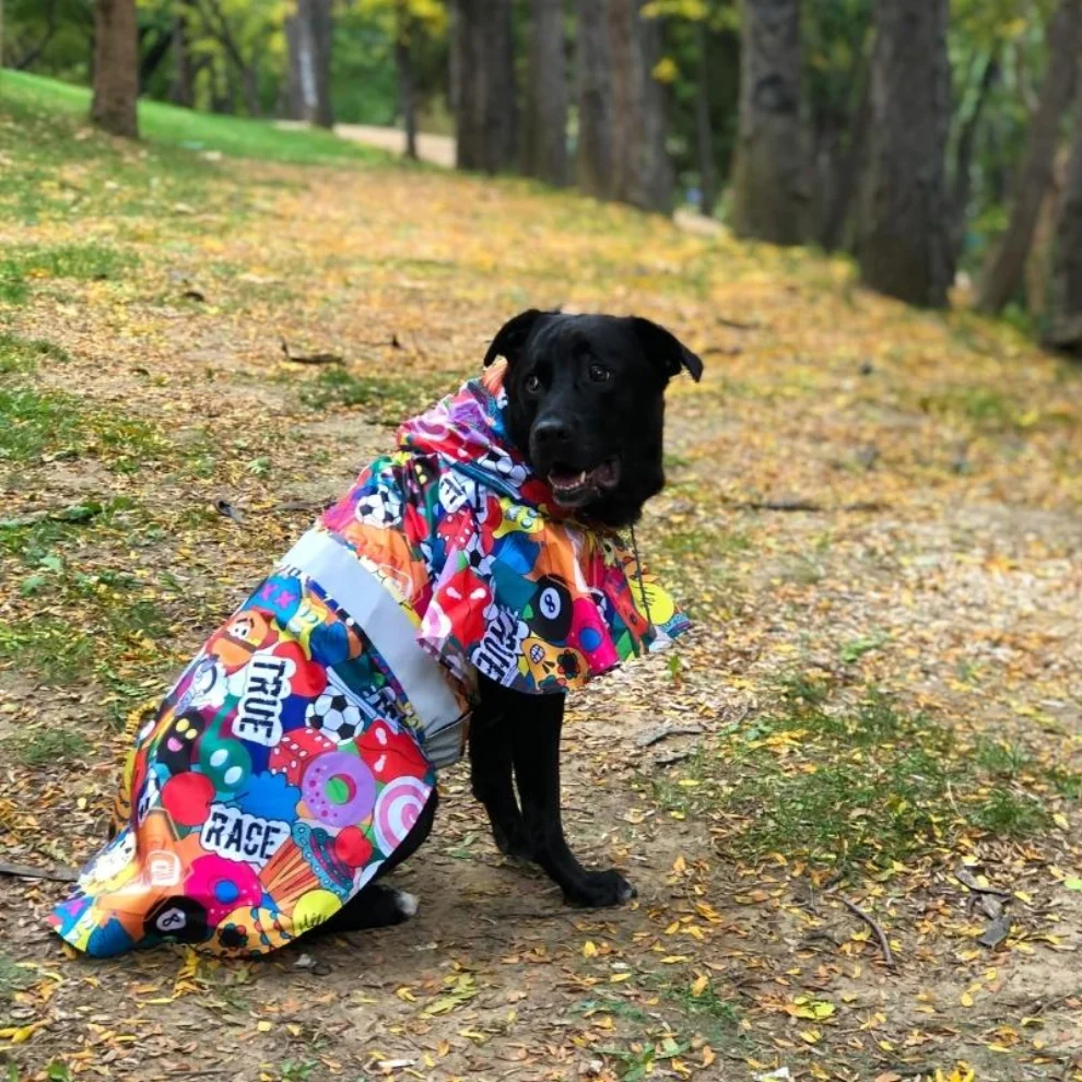 Tofico Pets - Cartoon Pattern Dog Pancho Raincoat