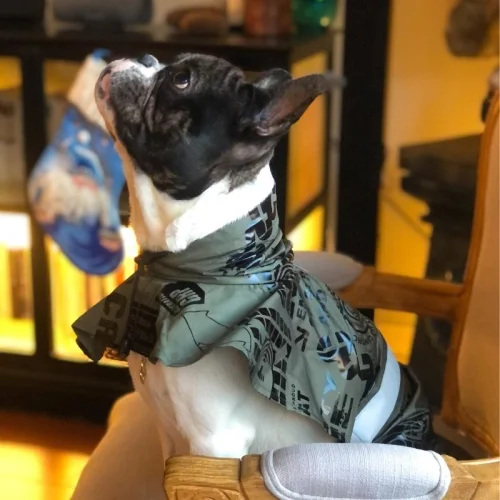 Tofico Pets - Sci-fi Dog Pancho Raincoat