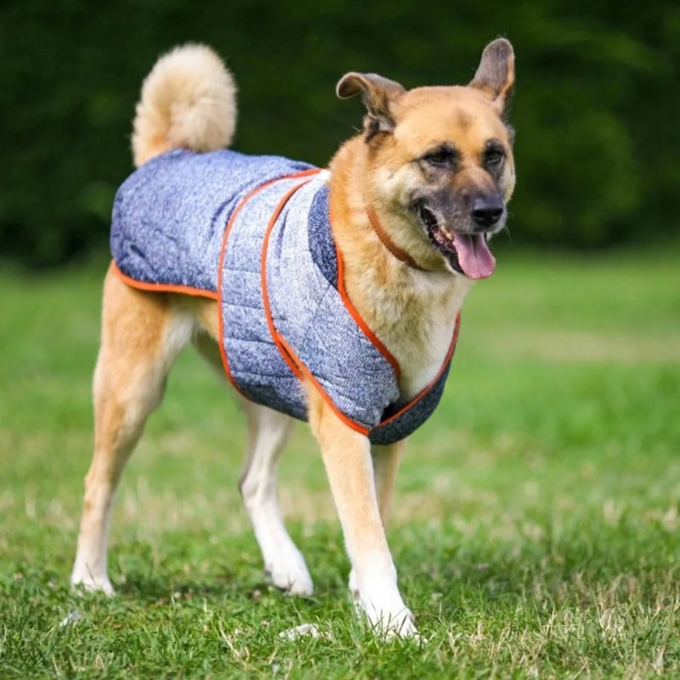 Tofico Pets - Indigo Quilted Dog Winter Coat