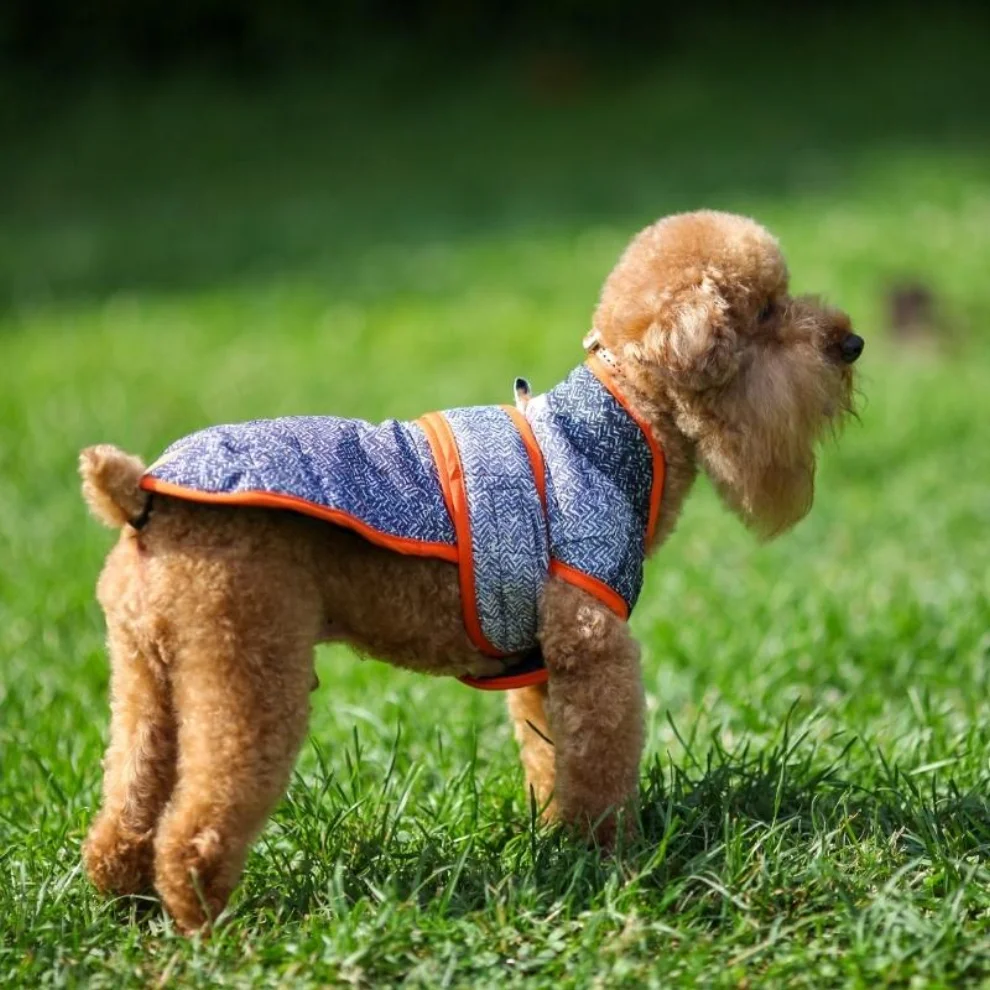 Tofico Pets - Indigo Quilted Dog Winter Coat