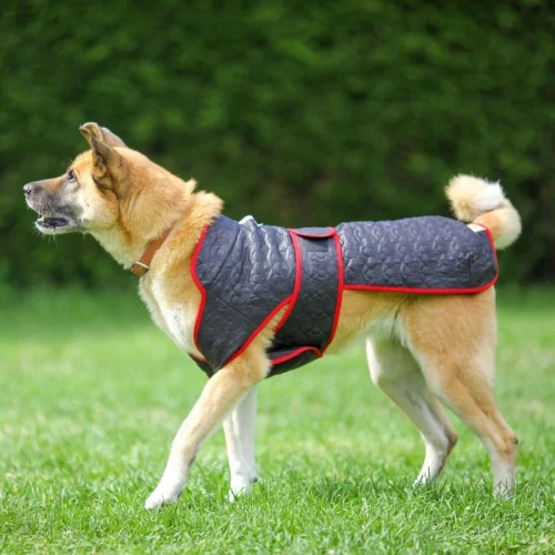 Tofico Pets - Skull Quilted Dog Winter Coat