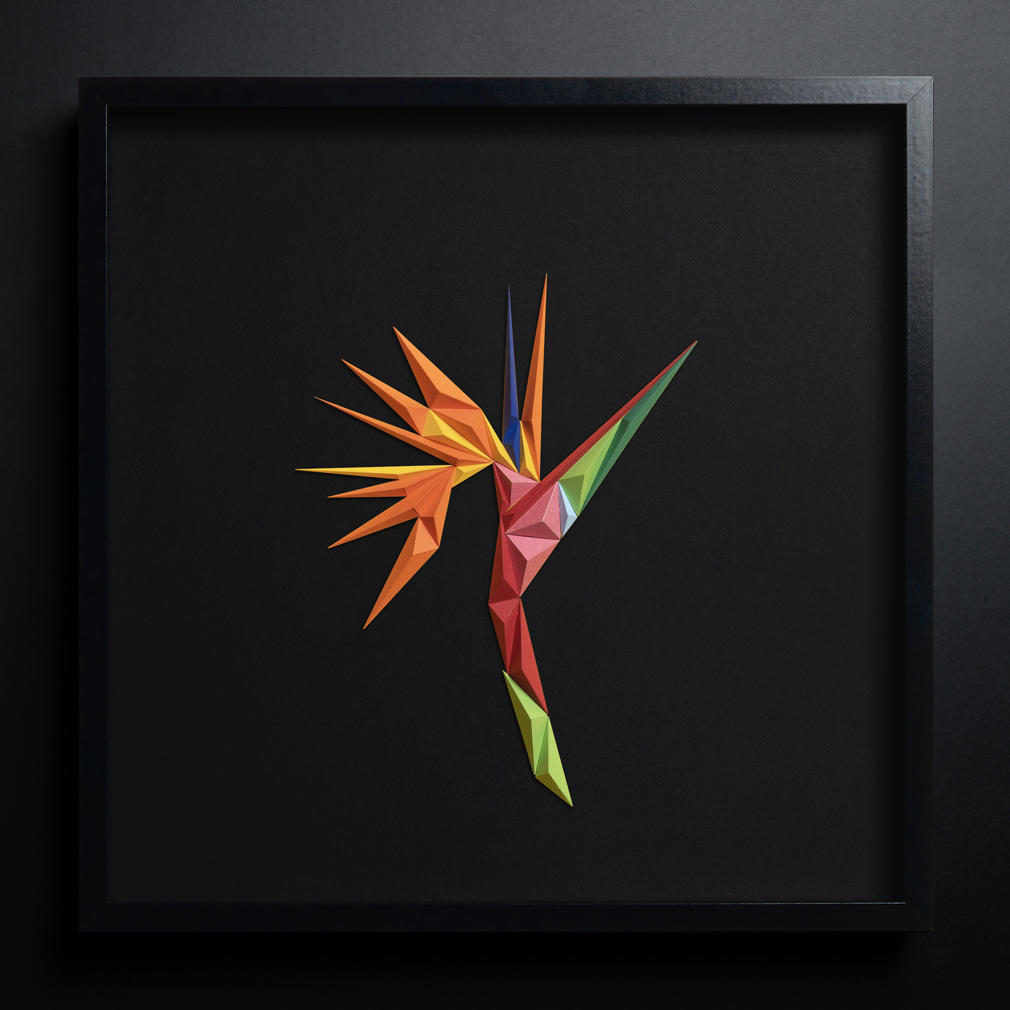 Strelitzia Artwork