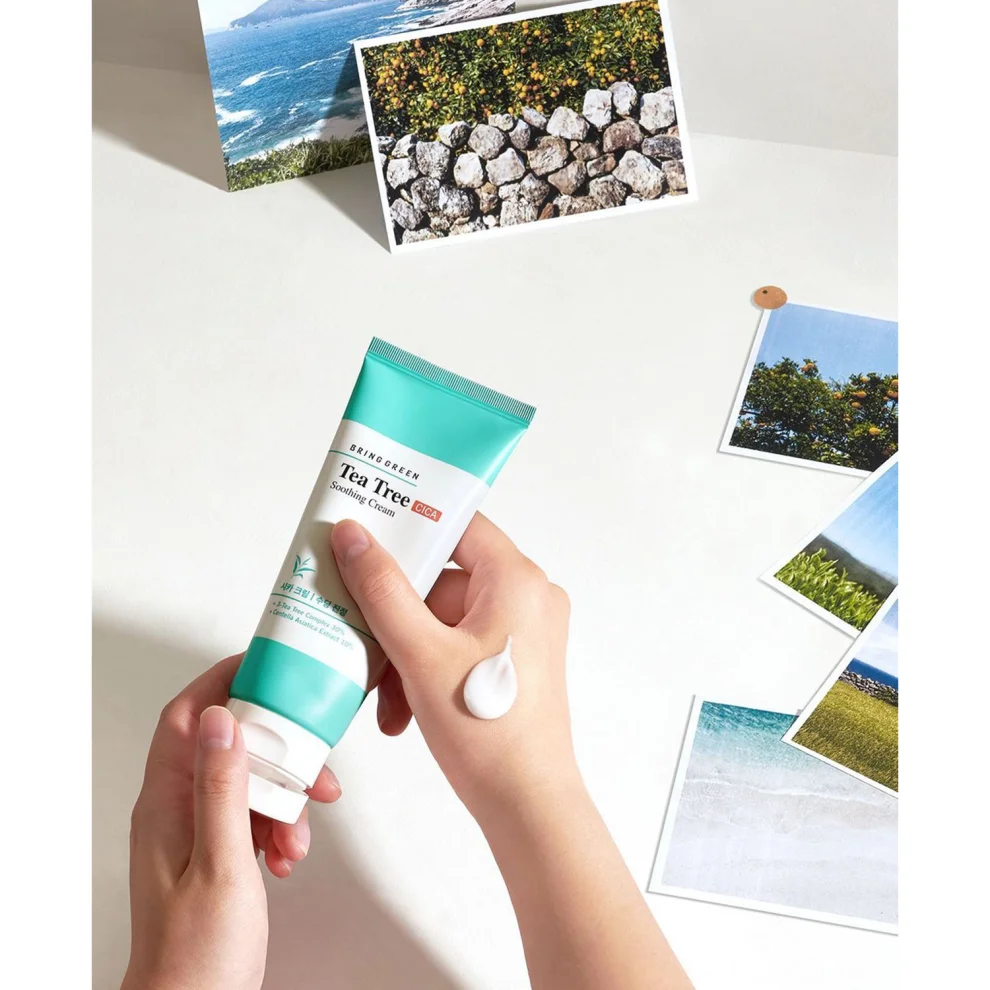 Bring Green Tea Tree Cica Trouble Cleansing Foam 300ml hipicon