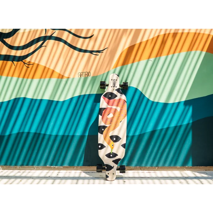 Longboard Kaykay image 2